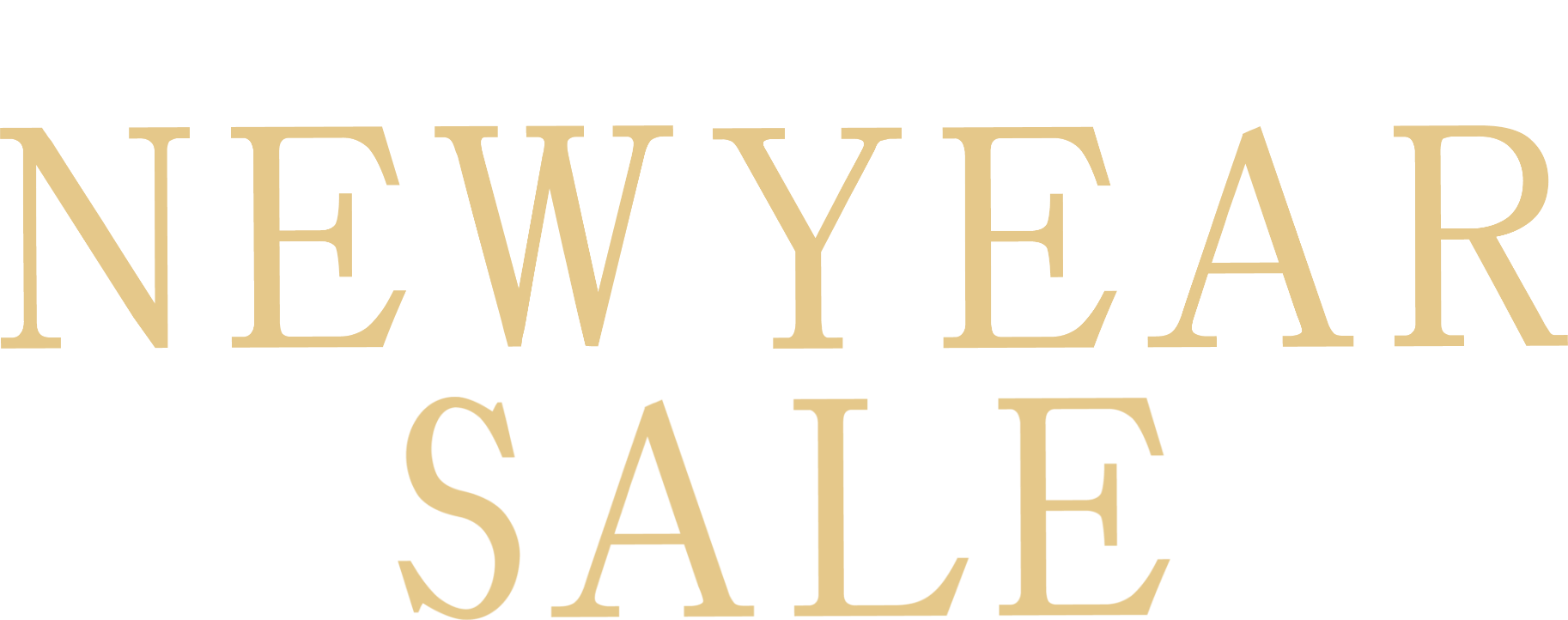 おトクが湧き出る ニューイヤーセール