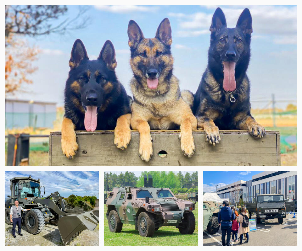 『LECT防災王国』のイメージ写真