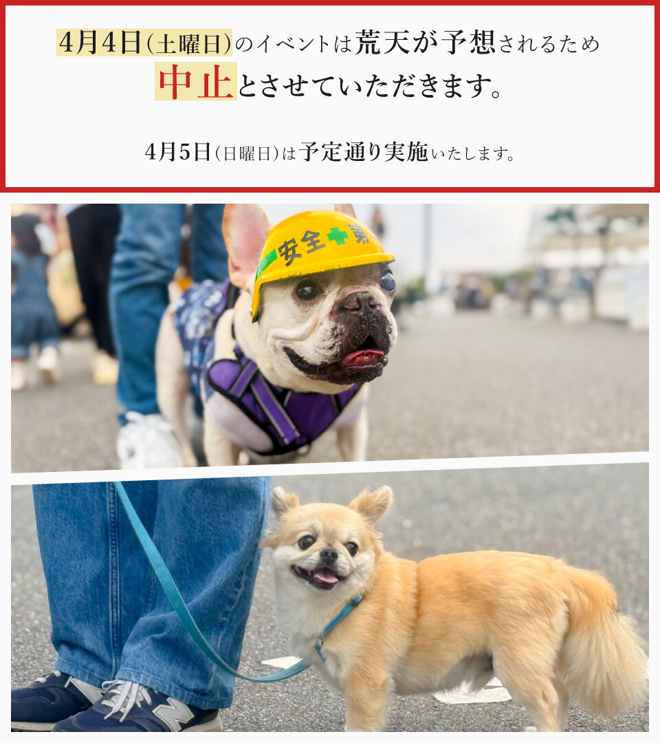 DOG GReeTING vol.14サムネイル画像