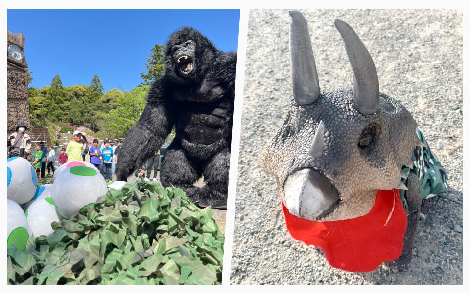 『巨大コング』と『トリぼん』のイメージ写真