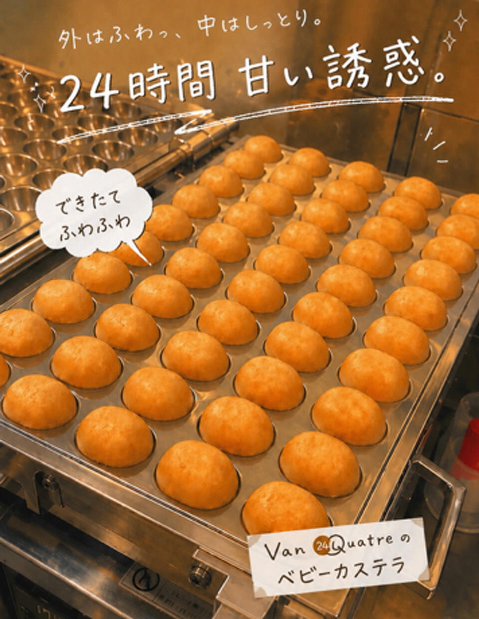 『ヴァンキャトル』の商品イメージ写真