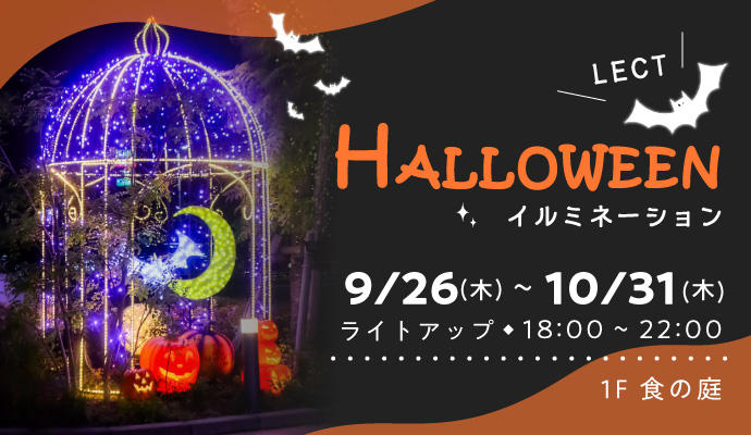 LECT『ハロウィンイルミネーション』 イメージ