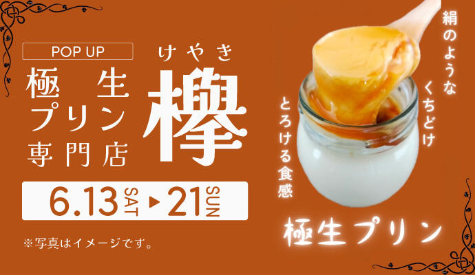 極生プリン専門店『欅(けやき)』POP UP SHOP イメージ