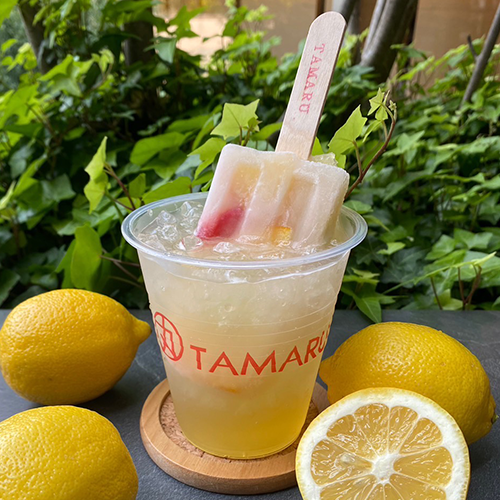 パレタスカッシュ