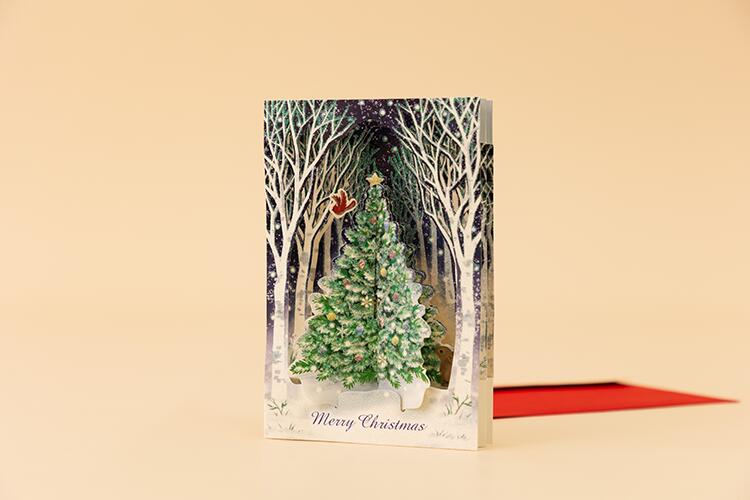 【プラグス マーケット プロデュース バイ ハンズ】クリスマスカード JX